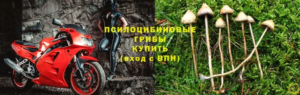 СК Алзамай