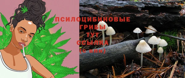 прущая мука Алексин